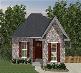 European Floor Plan - 2 Bedrms, 1 Baths - 800 Sq Ft - #203-1006